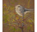 "Bushtit" by Randena Walsh